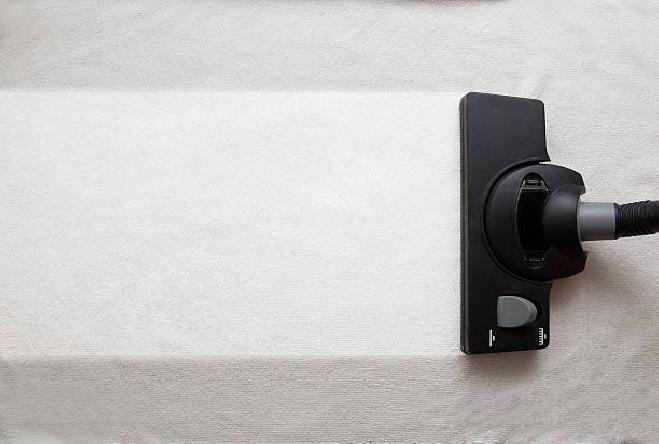 Experienced carpet cleaning specialists in North Shore collaborating on service excellence