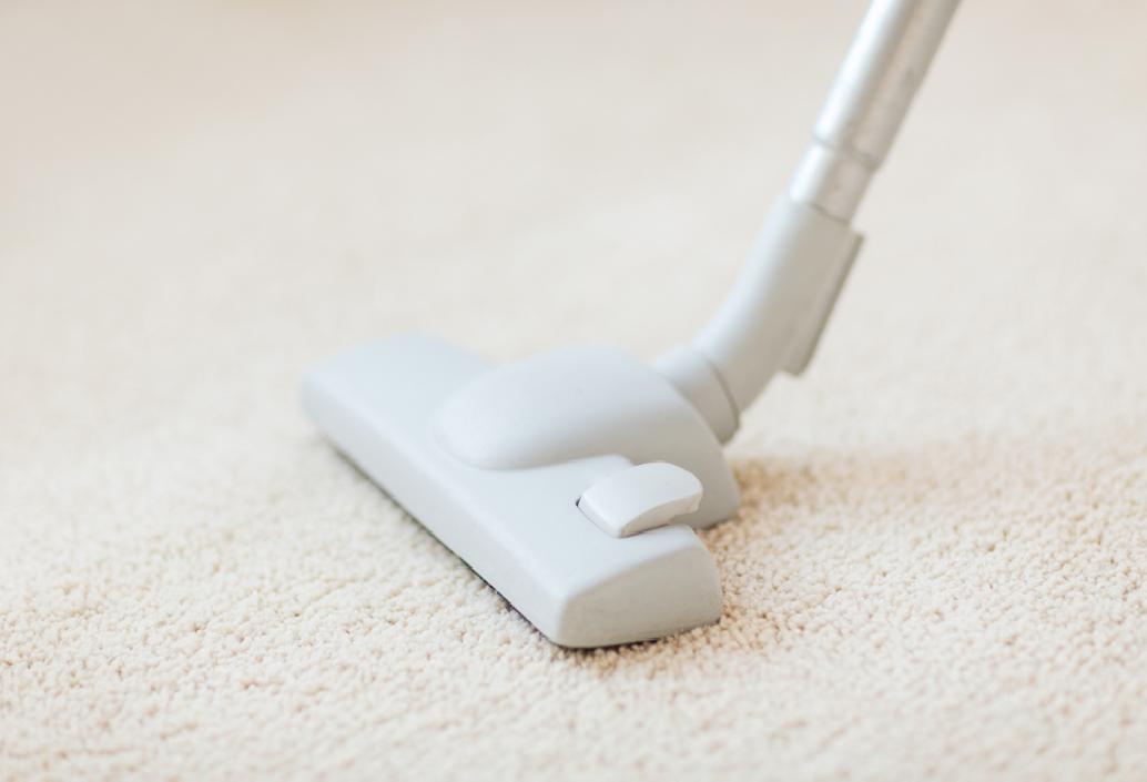 Modern carpet cleaning facility serving Manchester-by-the-Sea and Essex County